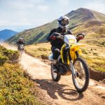 ニーガードとニーブレースの違いと選び方